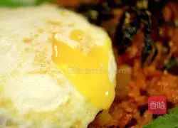 Illustration of Korean Spicy Cabbage Fried Rice 25