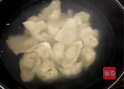 Illustration of how to make wontons 3