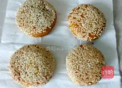 Pumpkin pie recipe 12