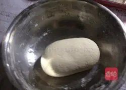 Illustration of hand-made dry noodles 3