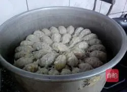 Illustration of how to make dumplings 13
