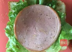 Illustration of how to make a sandwich 4