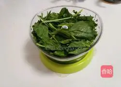 Spinach pancake recipe 2