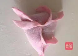 Illustrations of how to make creative dumplings 17