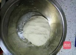 Pork and Lotus Root Dumplings Recipe Illustration 9