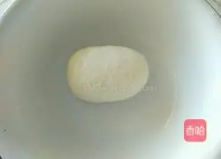 Illustration of how to make mushroom and chicken dumplings 2