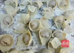 Illustration of how to make wontons 6
