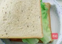 Simple Sandwich Recipe Illustration 5