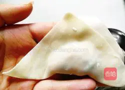 Illustration of how to make fresh meat wontons 6