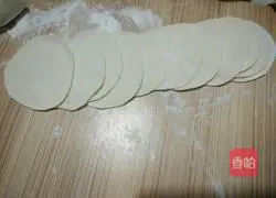 Reunion Dumplings Illustration 10