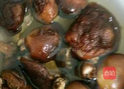 Chicken Wonton Recipe Illustration 2