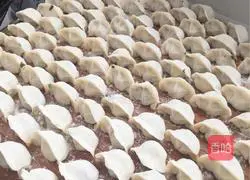 Illustration of how to make vegetarian dumplings 13