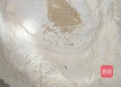 Illustration of how to make steamed buns 1