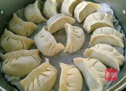 Pork and cabbage dumplings recipe 15