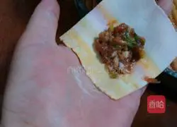 Illustration of how to make small wontons 4