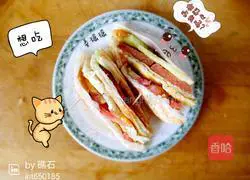 Illustration of homemade sandwiches 11