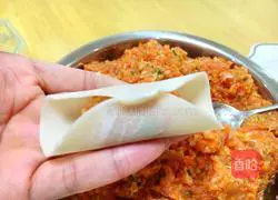 Pork and Mushroom Dumplings Recipe Illustration 7