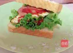 Breakfast Sandwich Illustration of how to do it 3