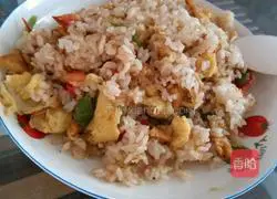 Illustration of Shiraz Egg Fried Rice 3