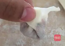 Homemade meatballs Illustration of how to make wontons 9