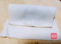 Illustration of how to make pork and carrot stuffed dumplings 7