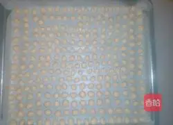 How to make small steamed buns Illustration 7