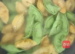 Vegetable juice dumplings recipe 15