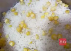 Egg fried rice Illustration of how to do it 1