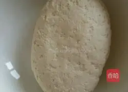 Illustration of how to make mutton and carrot stuffed dumplings 12