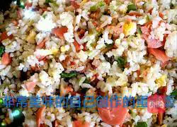 Illustration of homemade egg fried rice 19