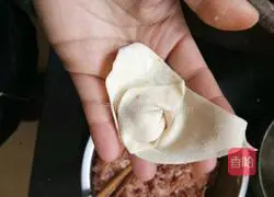 Illustration of how to make wontons 6