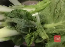 Illustration of how to make cabbage dumplings 2