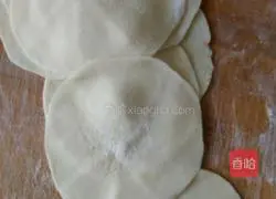 Pork Dumplings Recipe Illustration 7