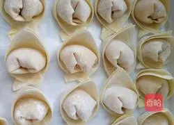 Winter Melon Illustration of how to make shrimp and fresh meat wontons 2