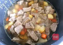 Illustration of Beef Braised Rice 10