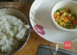 Illustration of how to make colorful fried rice 1