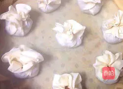 Dumpling wrapper made from Shaomai Practice illustration 6