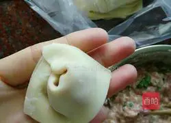 Illustration of how to make wontons stuffed with mushrooms and meat 5