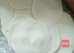 Illustration of how to make pork and leek dumplings 12