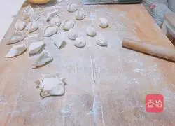 Illustration of how to make cabbage and pork dumplings 13