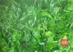 Alfalfa Egg Pancake Recipe Illustration 2