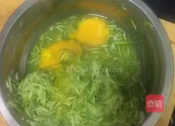 Zucchini pancake recipe 3