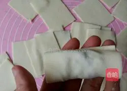 Illustration of how to make wontons 14