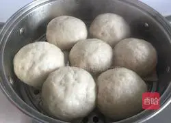 Illustration of how to make bean dregs steamed buns 9
