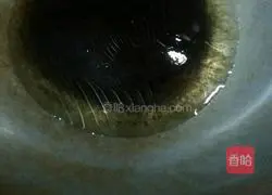 Illustration of how to make fried rice with mung bean sprouts and eggs 2