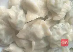 Leek and Pork Dumplings Illustration of how to do it 5