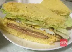 Sandwich Illustration of how to do it 7