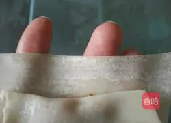 Illustration of how to make wontons 9