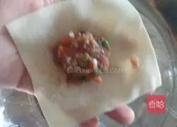 Illustration of how to make beef wontons 6