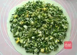 Wild garlic egg vegetable pancake recipe 9